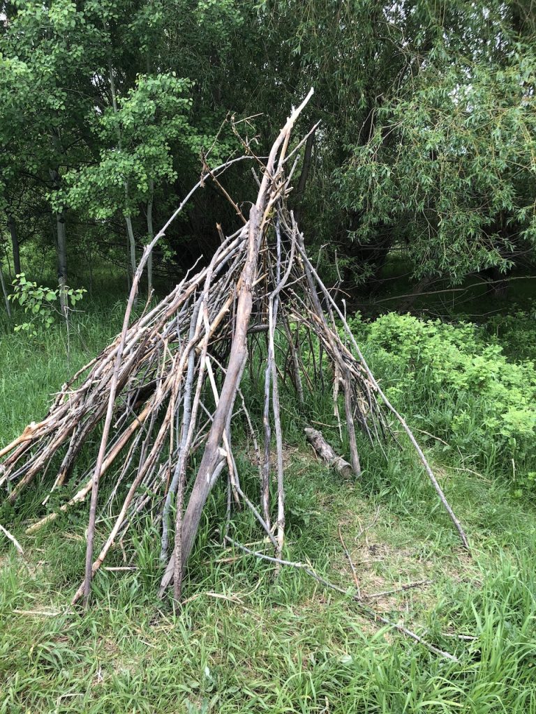 pile of branches, beaver lodge or teepee frame